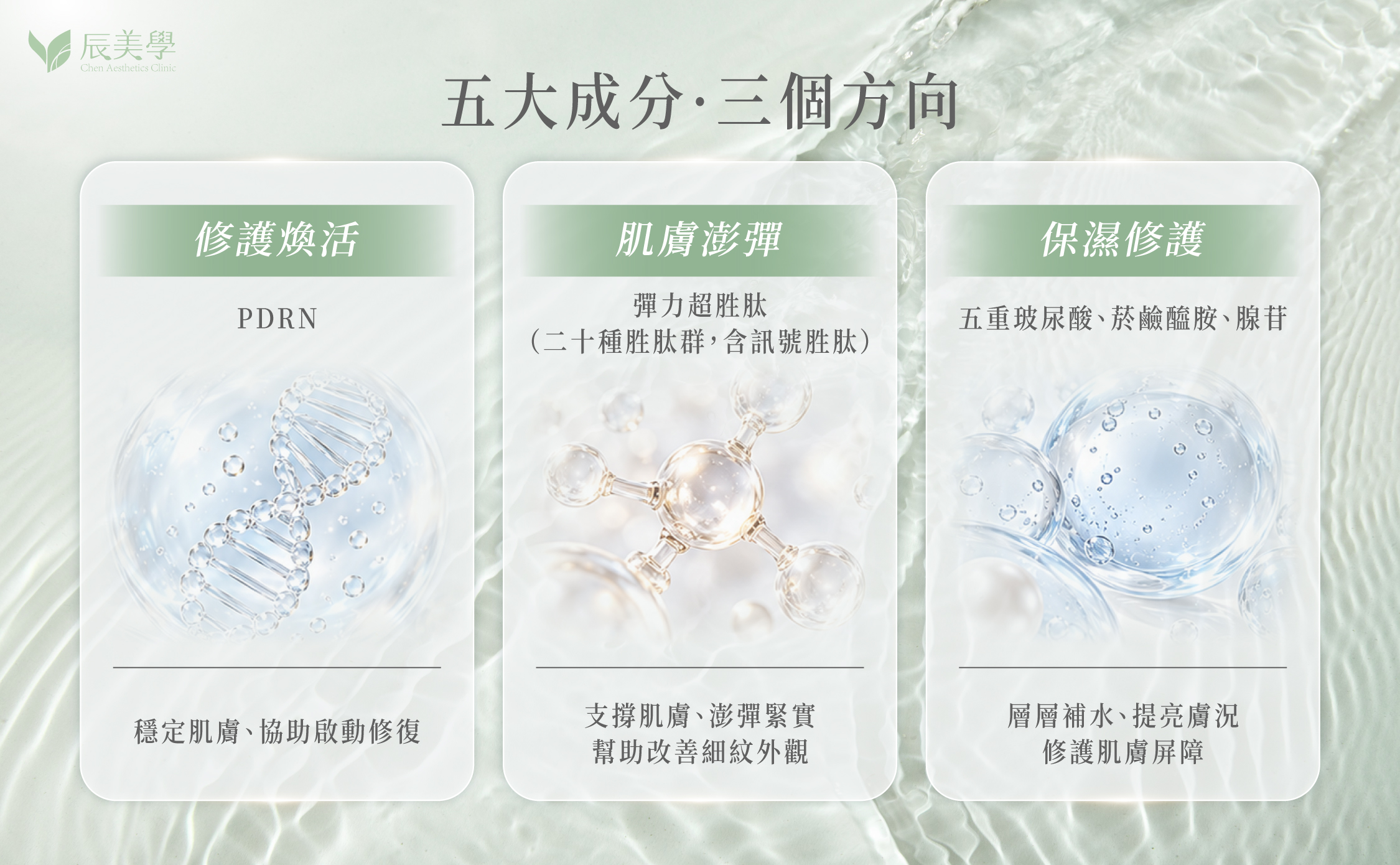 美國音波拉提凍膜五大成分與作用整理圖＿辰美學