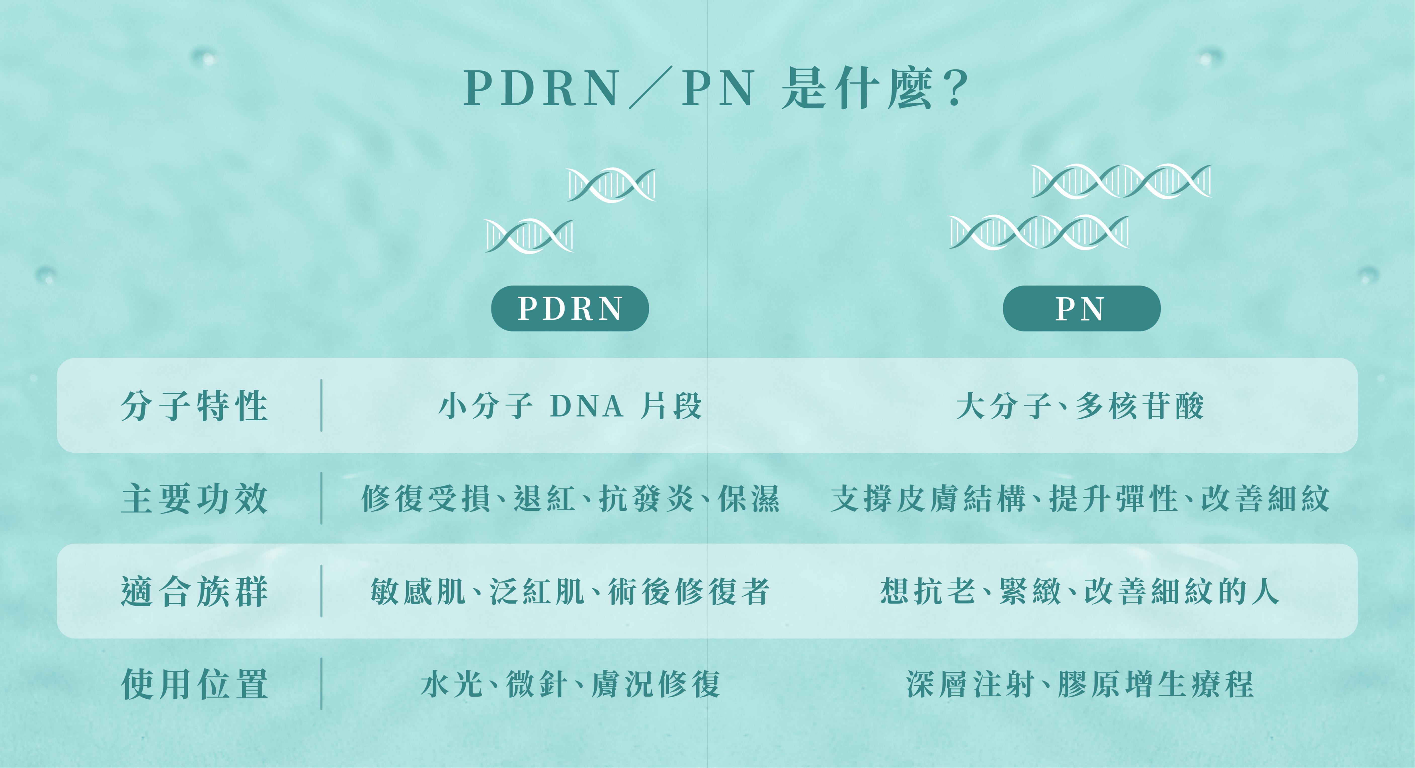 PDRN/PN是什麼?_辰美學