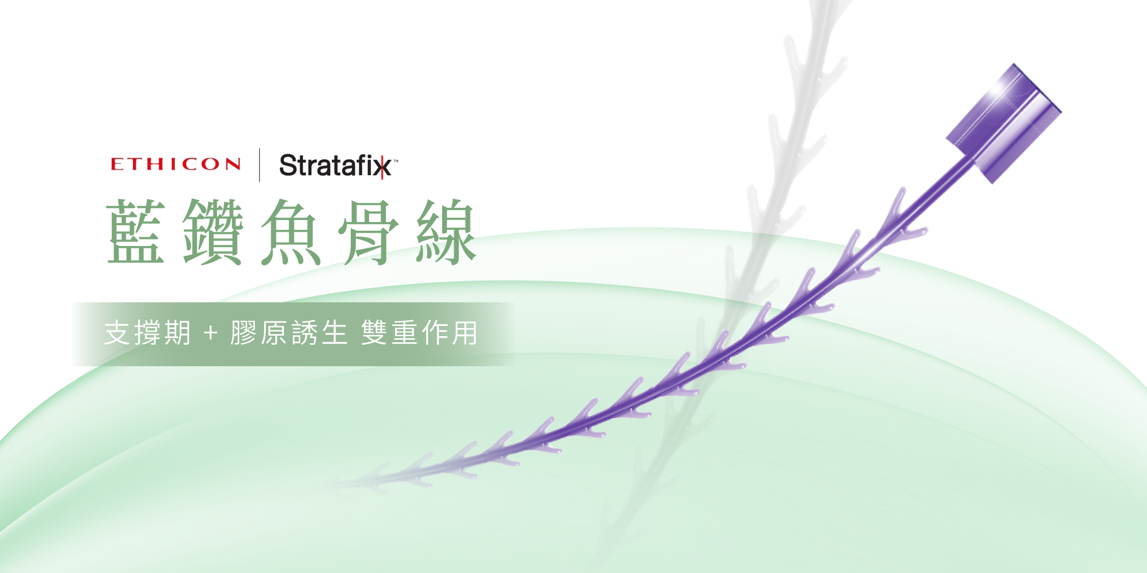 藍鑽魚骨線_辰美學