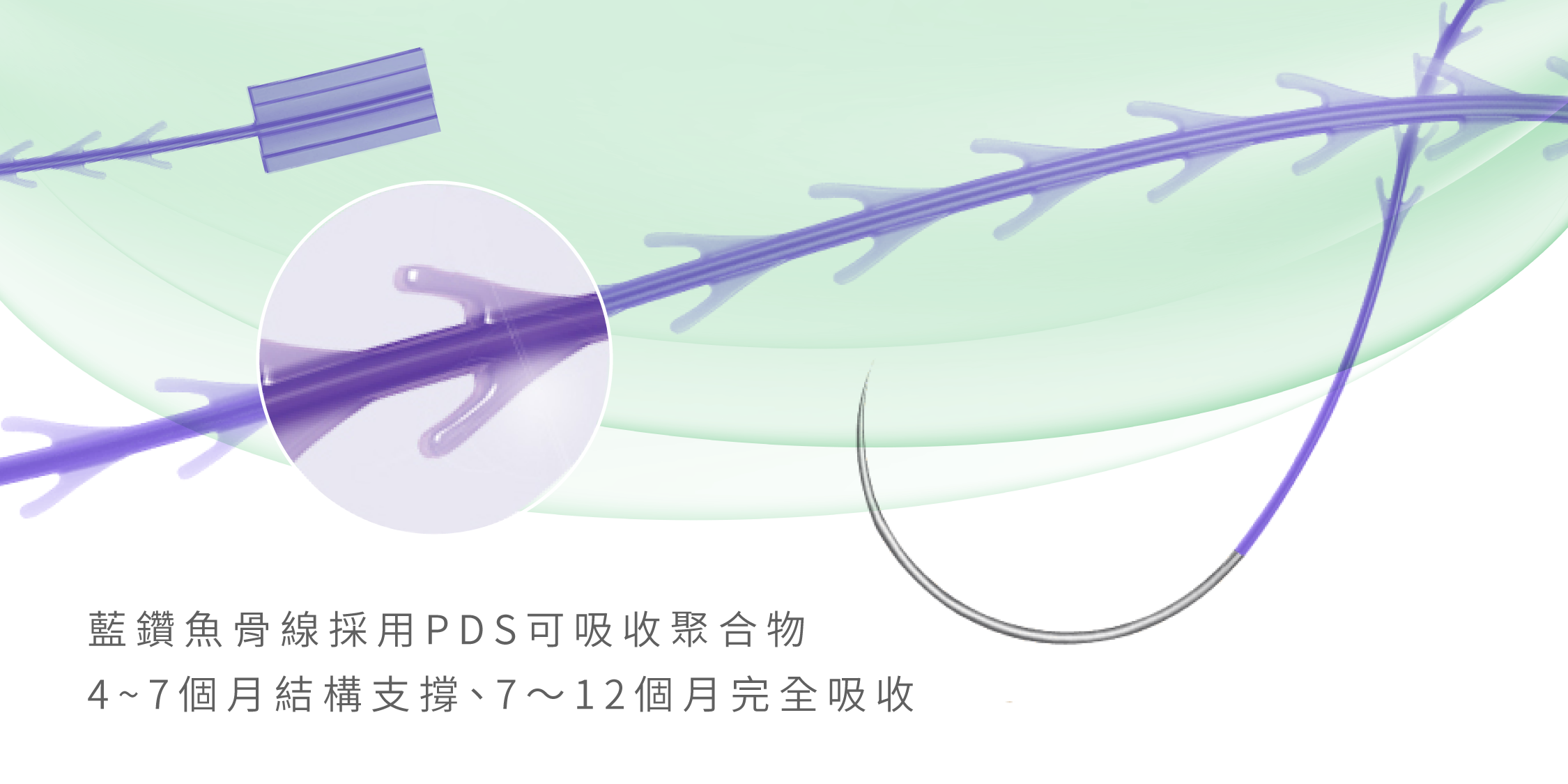 藍鑽魚骨線_辰美學