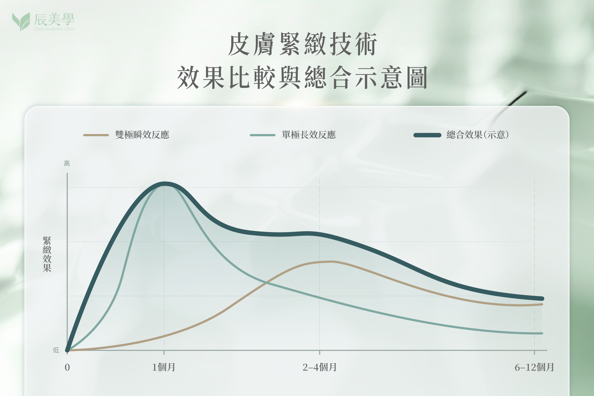 全層定靶式拉提＿辰美學