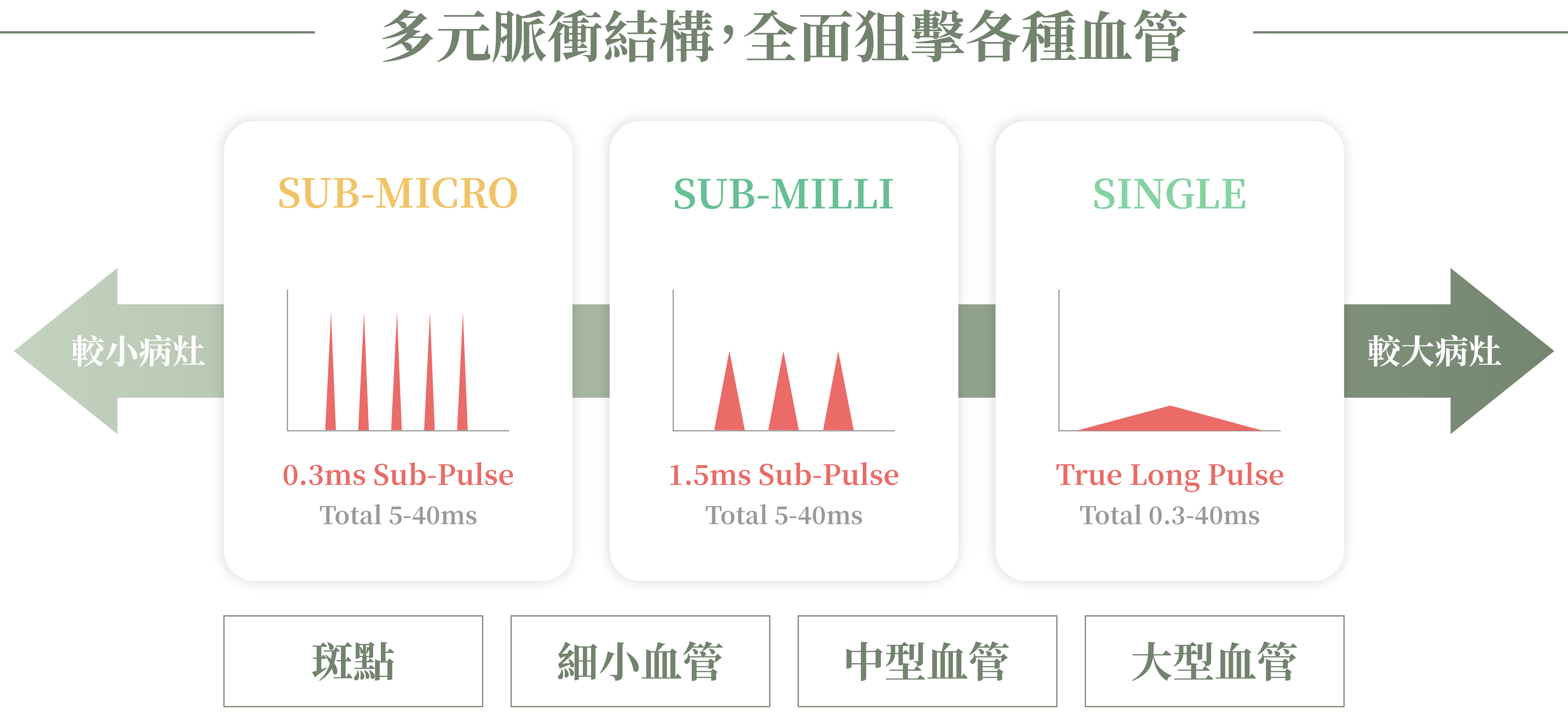 DermaV 青萃光多元脈衝結構＿辰美學