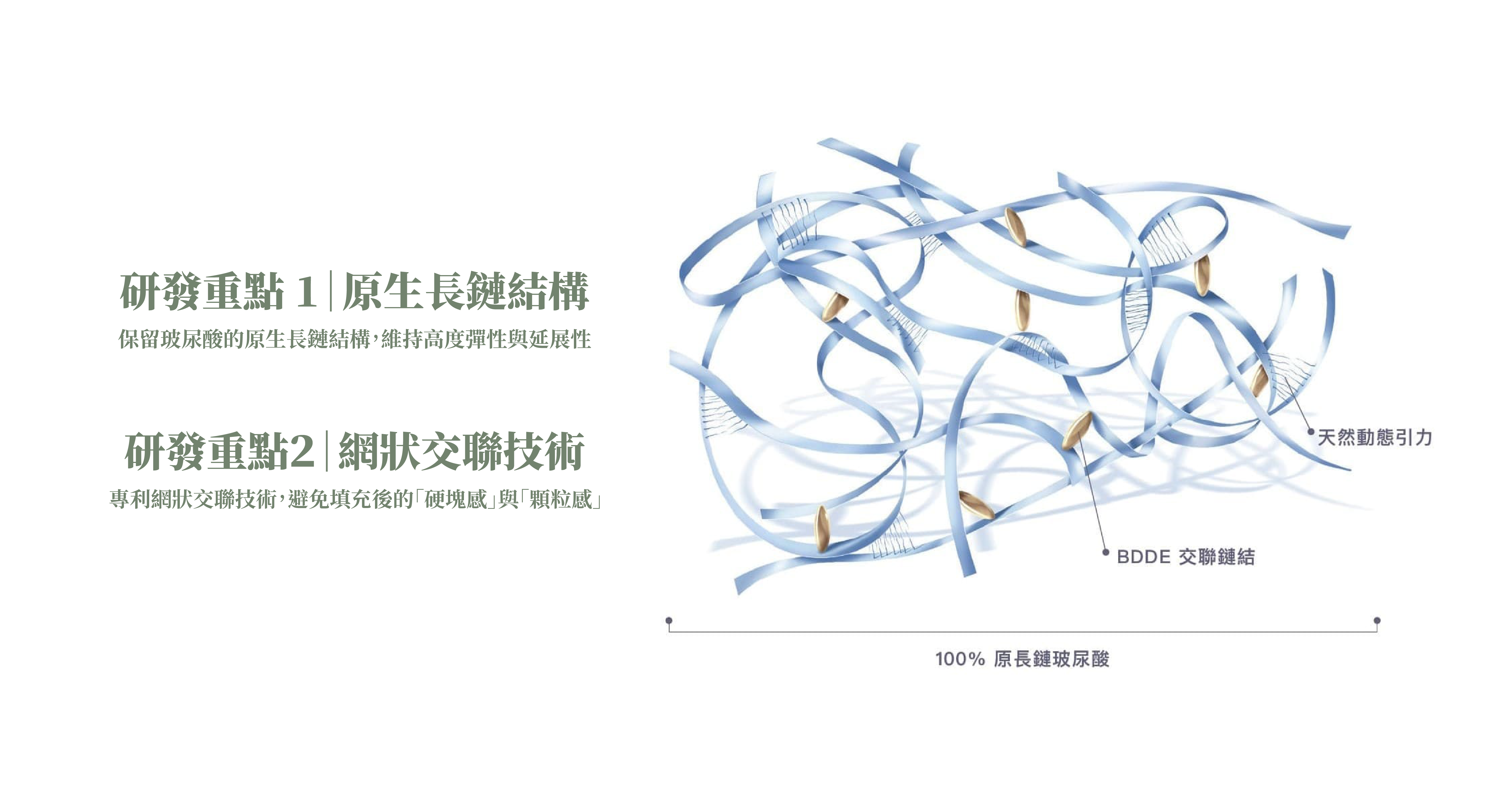 緹奧希玻尿酸_辰美學