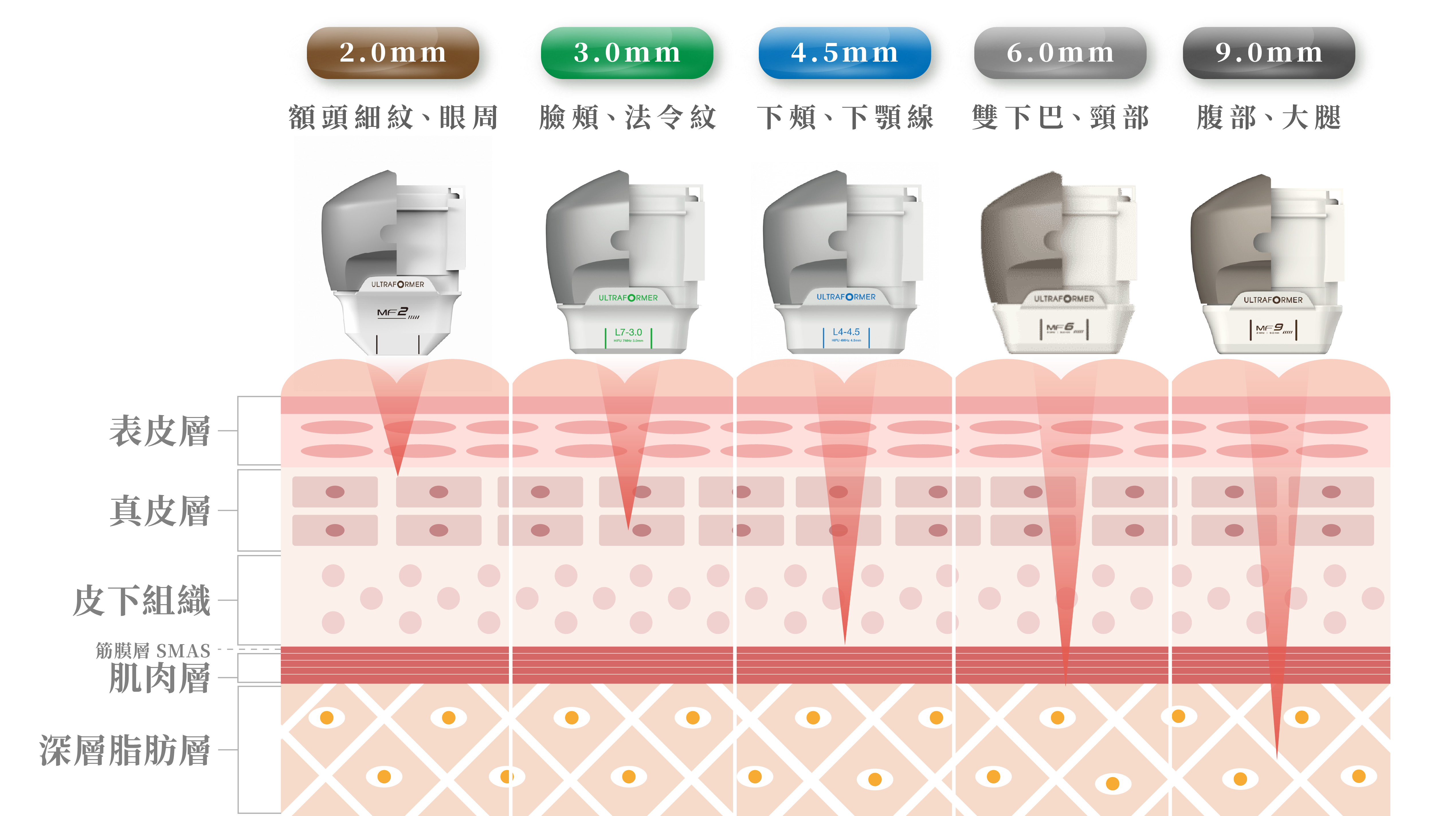 海芙音波第三代＿辰美學