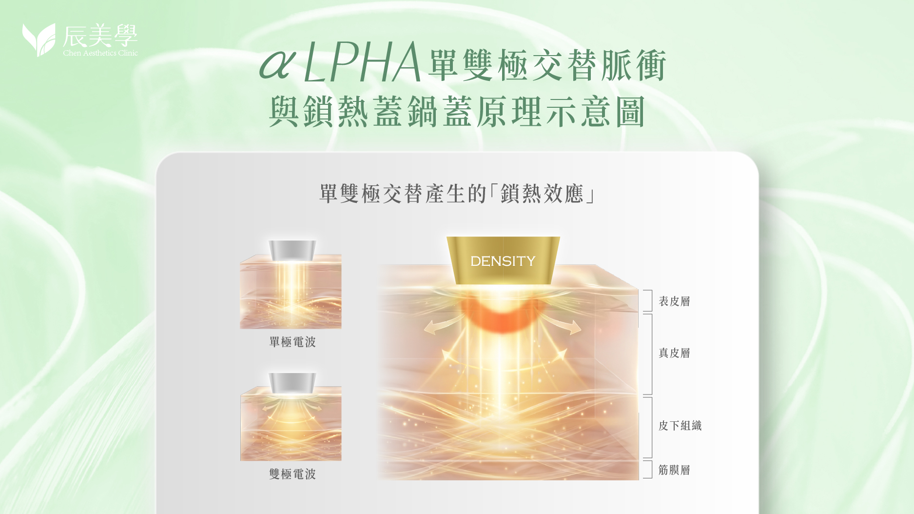 無雙電波_辰美學