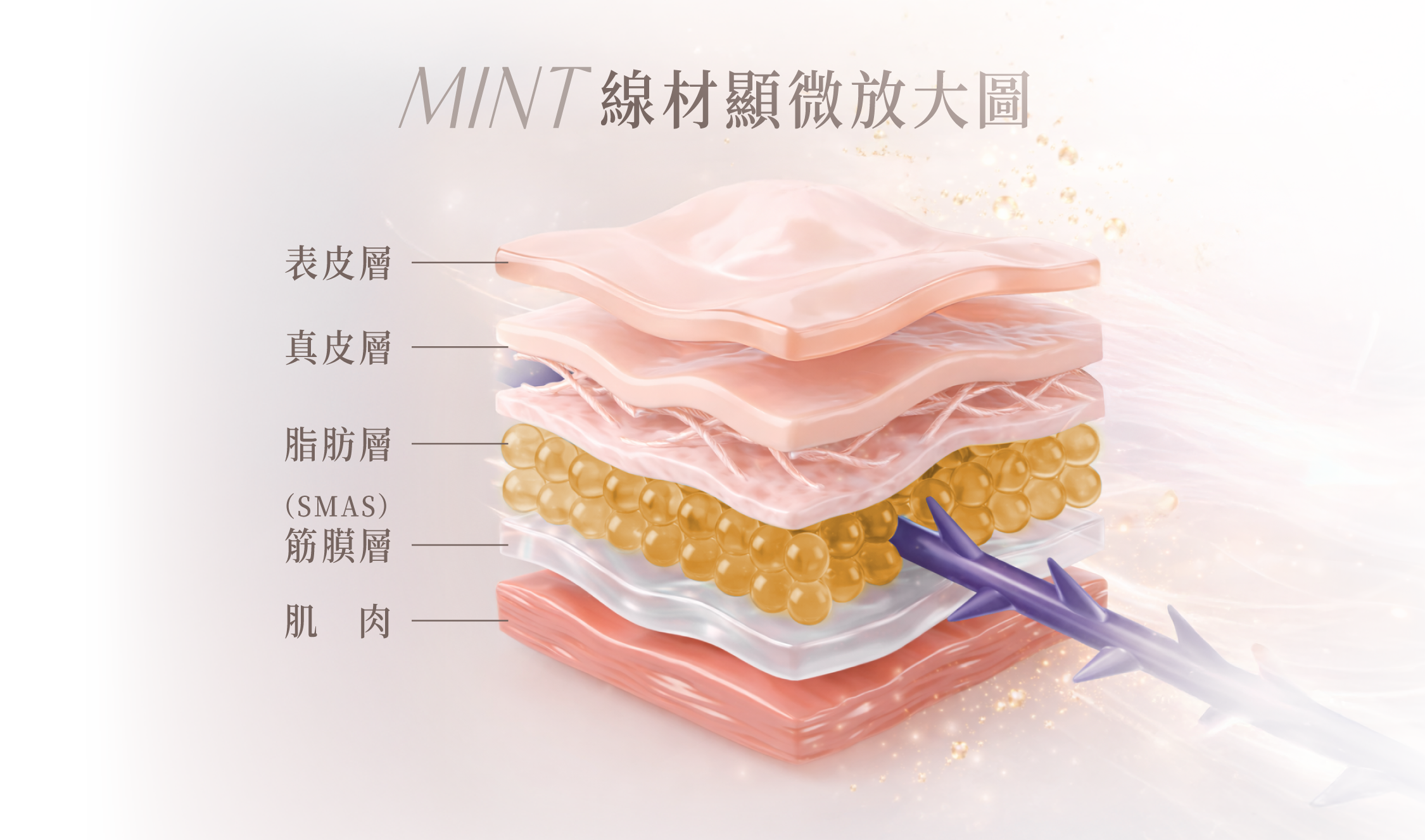 秘線拉提＿辰美學